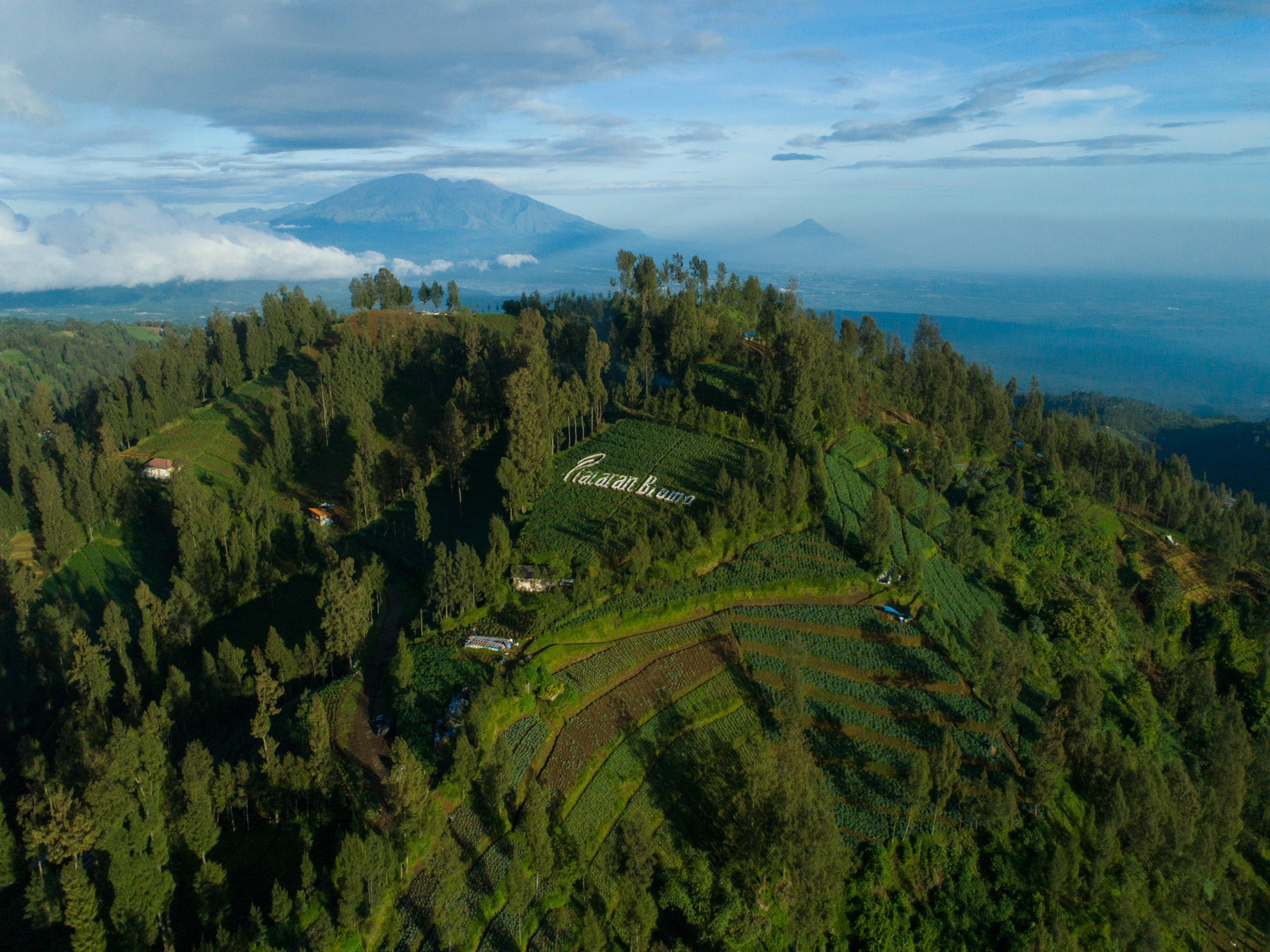 Plataran Bromo Hotel Ngoại thất bức ảnh