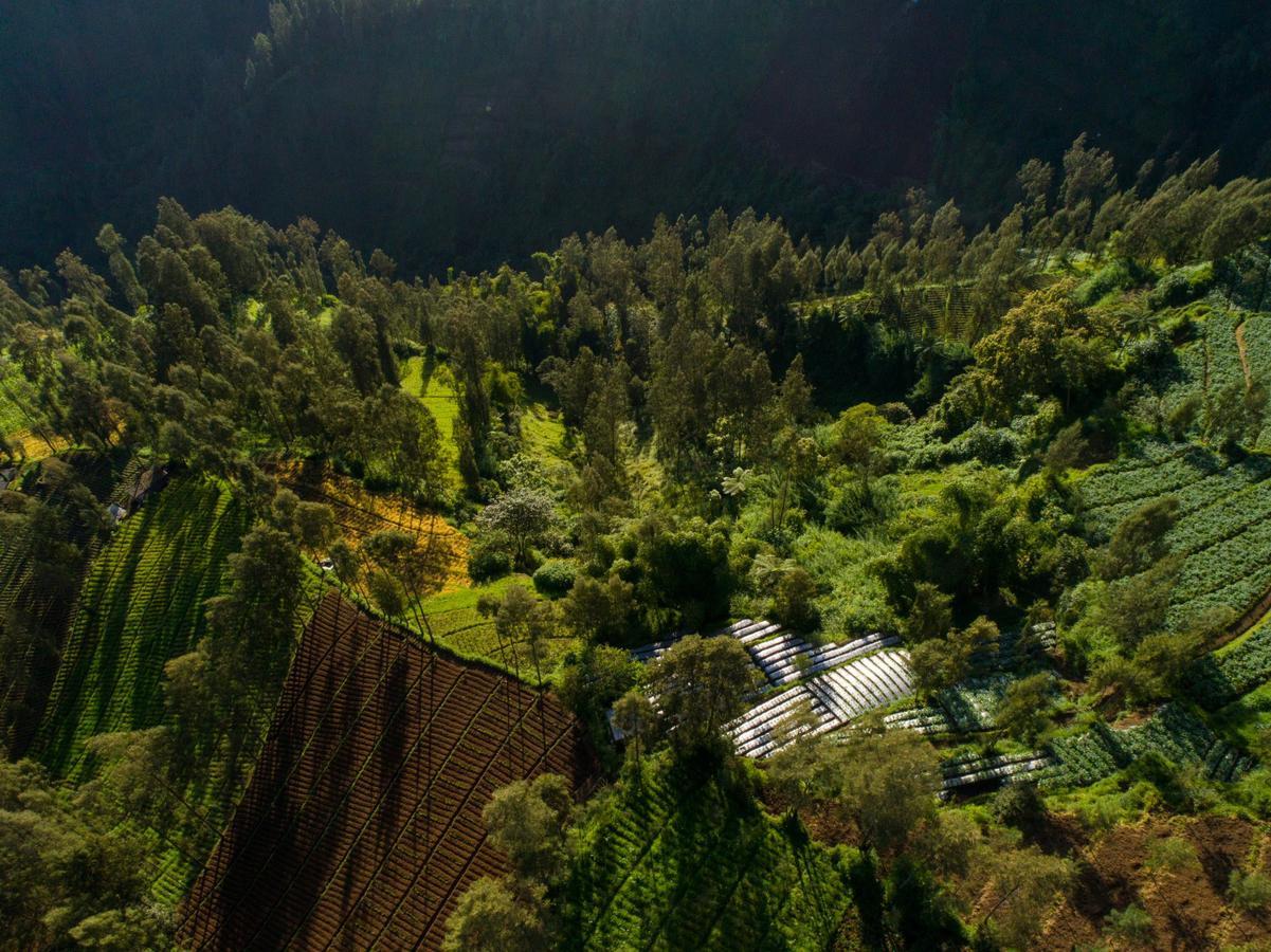 Plataran Bromo Hotel Ngoại thất bức ảnh
